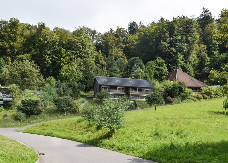Bauland mit bewilligtem Neubauprojekt in Leibstadt (2)