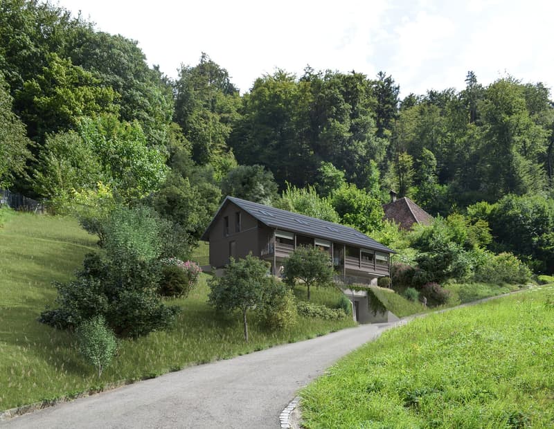 Bauland mit bewilligtem Neubauprojekt in Leibstadt (4)