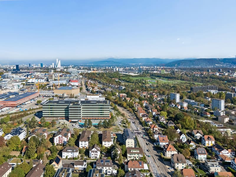 Zweifamilienhaus mit Garten und Ausbaupotenzial in Münchenstein (33)