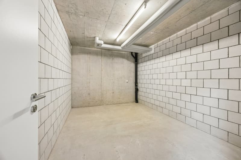 Moderne 4.5-Zimmer-Wohnung in ruhiger Lage in Buttwil (30)