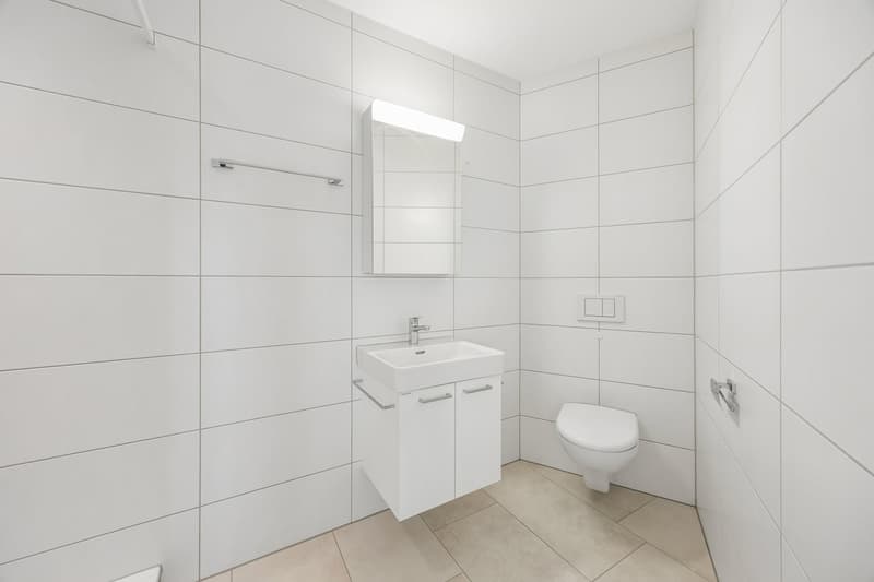 Moderne 4.5-Zimmer-Wohnung in ruhiger Lage in Buttwil (25)