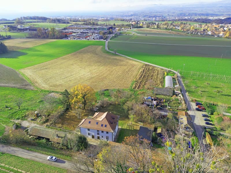 Maison de maître avec affectation mixte (habitation/bureaux) et une écurie (2)