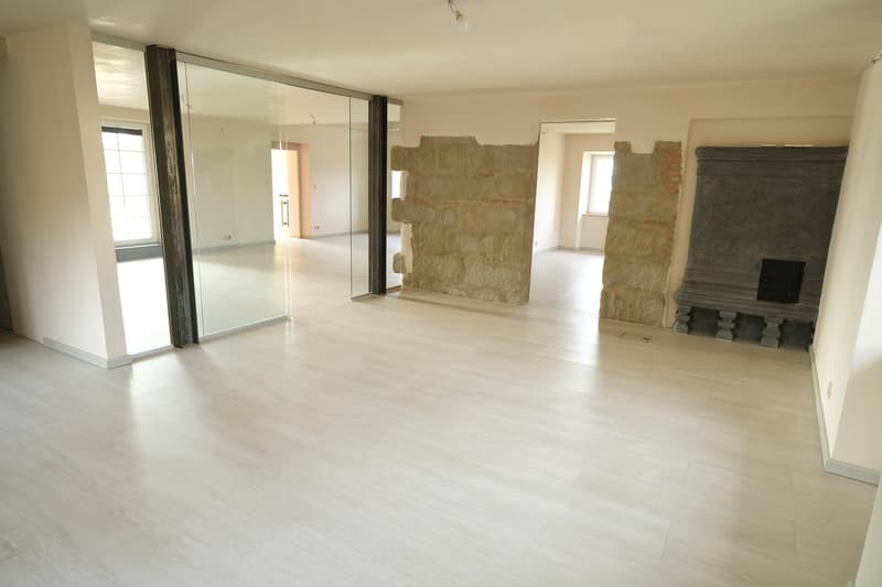 Large open-concept living space with white walls, hardwood floors, and a stone fireplace. The room features floor-to-ceiling glass doors leading to an adjacent area. The space appears to be newly renovated and has a modern, minimalist design.