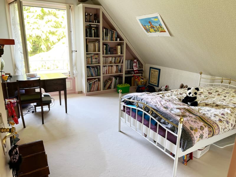 Exceptional 7.5-room villa with remarkable land potential (11)