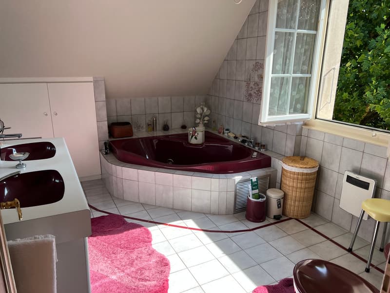 Exceptional 7.5-room villa with remarkable land potential (9)
