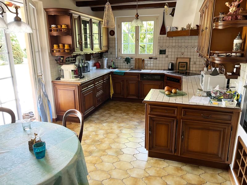 Exceptional 7.5-room villa with remarkable land potential (8)