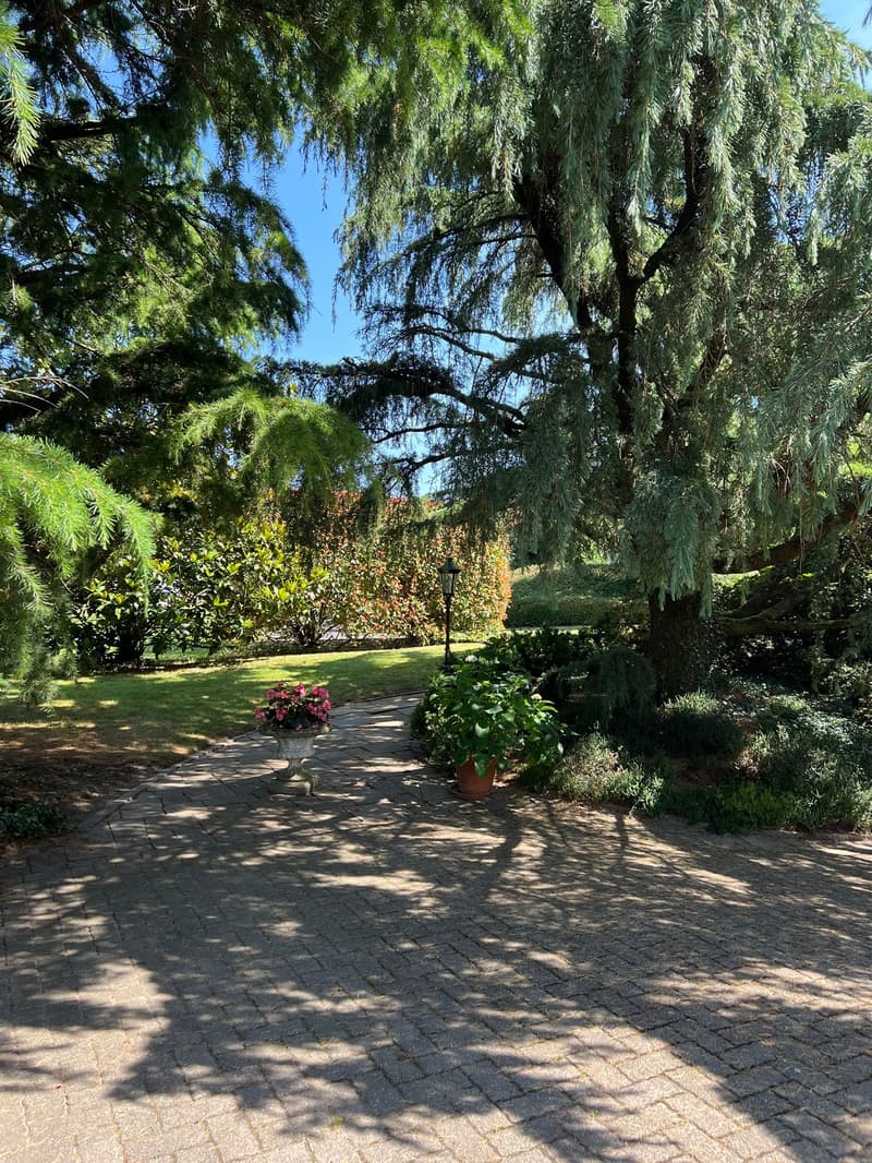 Exceptional 7.5-room villa with remarkable land potential (3)