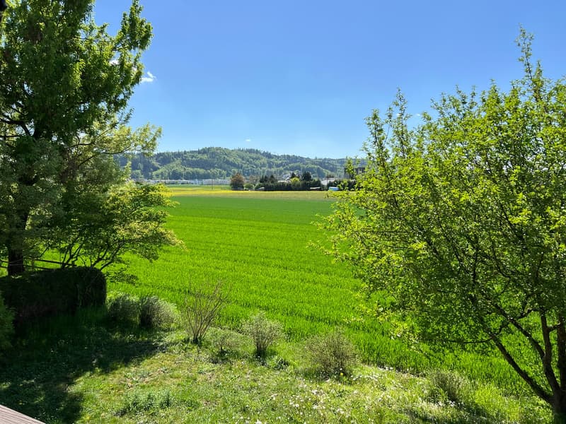 Fernsicht