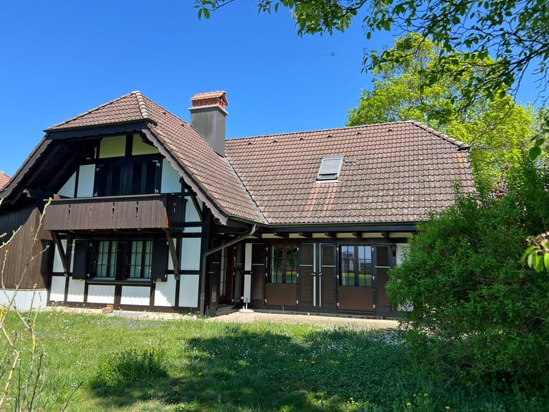 Südwestfassade