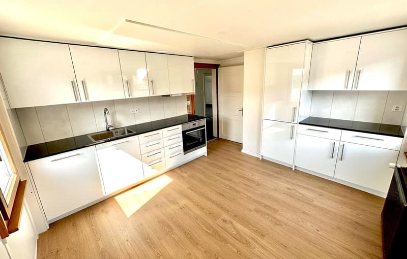modern kitchen, white cabinets, wooden floors, built-in appliances, bright lighting, spacious