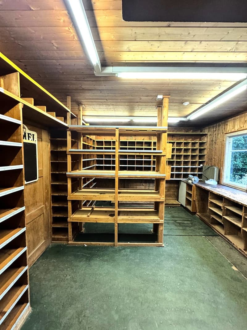 wooden shelving units, green floor, white ceiling lights, window with trees view