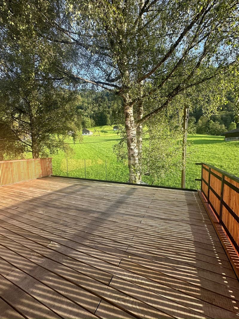 Wooden deck with glass fence, view of a large meadow and mountains