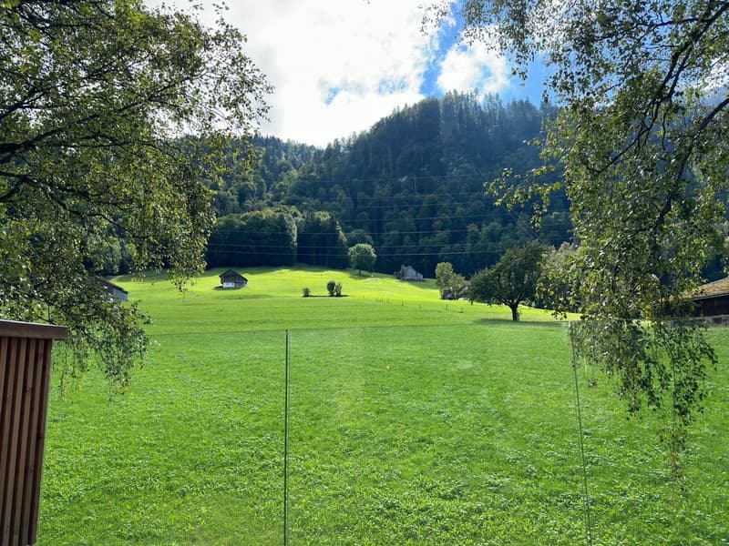 Open grass field with views of mountains in the background