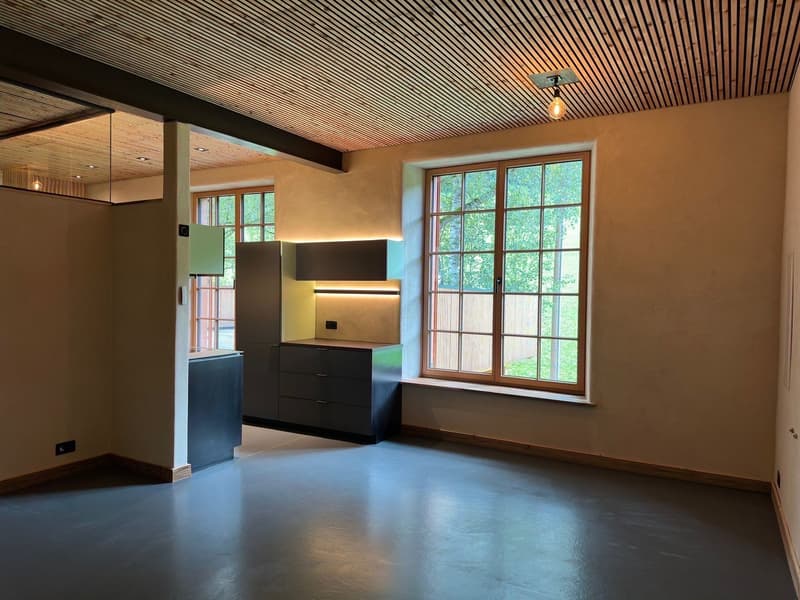 Open-plan kitchen with modern cabinets, wooden flooring, pendant lighting, large windows, and built-in appliances.