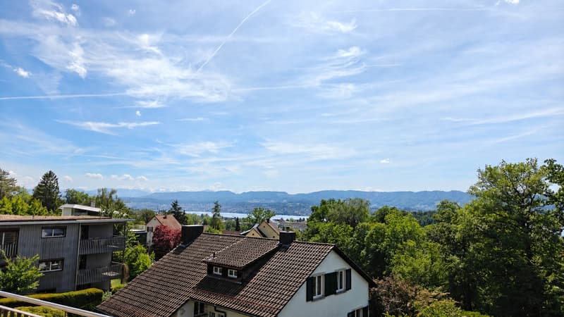 Befristet auf 3 Jahre - Exklusive Maisonette-Wohnung mit traumhafter Seesicht in Zürich-Witikon (2)