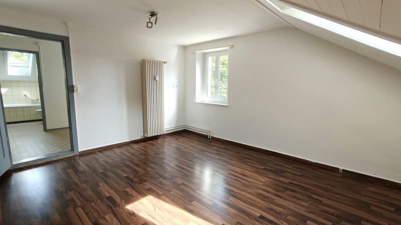 "Gut erschlossene Studio-Wohnung in Aathal-Seegräben!" (3)