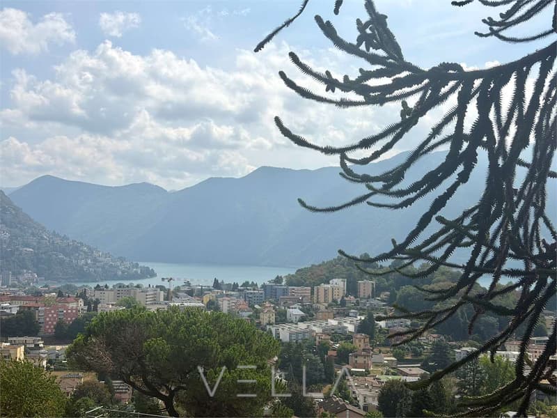 Appartamento 2.5 locali con vista lago (8)