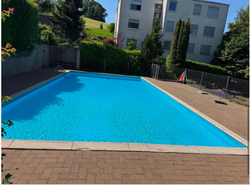 Appartement lumineux 4.5 pièces à Gebenstorf – disponible immédiatement ! (2)