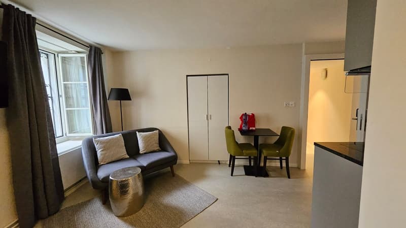 Exclusive, furnished apartment in the heart of Brugg (AG) (2)