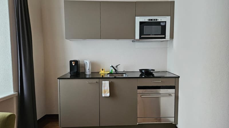 Exclusive, furnished apartment in the heart of Brugg (AG) (3)