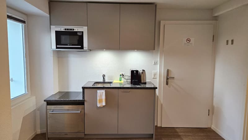 Exklusive, möblierte Wohnung im Herzen von Wohlen (AG) (2)
