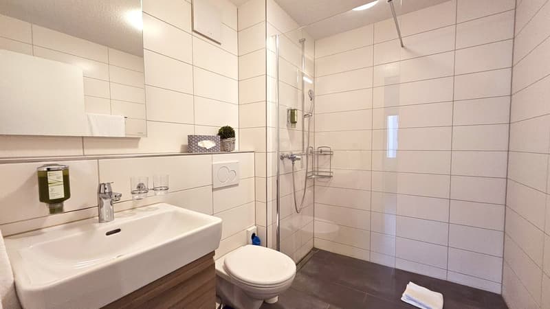 Exklusive, möblierte Wohnung im Herzen von Wohlen (AG) (4)