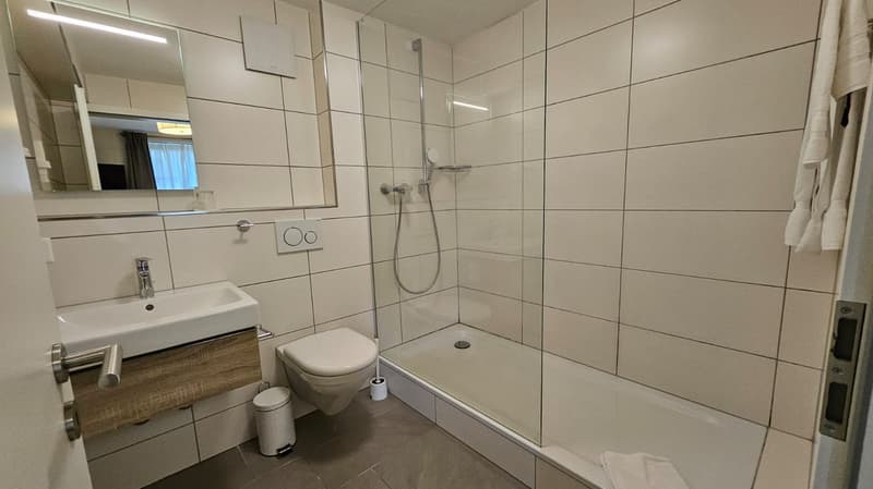 Exklusive, möblierte Wohnung im Herzen von Brugg (AG) (4)