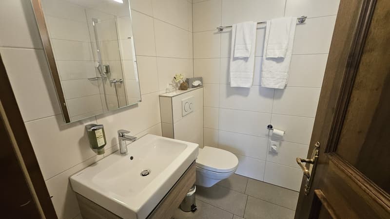 Exklusive, möblierte Wohnung im Herzen von Bremgarten (AG) (7)