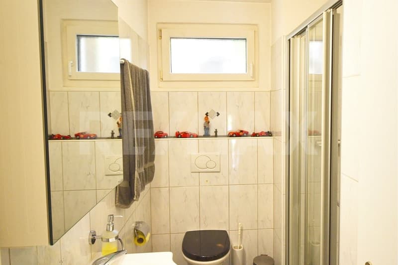 Charming single-family house with a large plot (4)