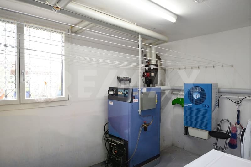 Charming single-family house with a large plot (3)