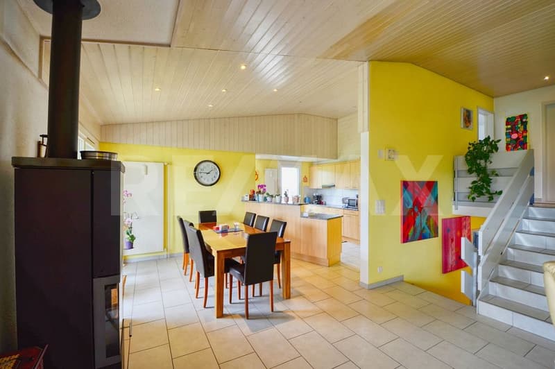 Charming single-family house with a large plot (6)