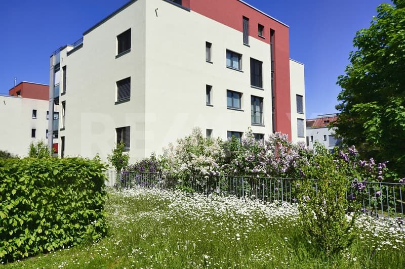 Appartement en rez-de-chaussée lumineux avec jardin privé (2)