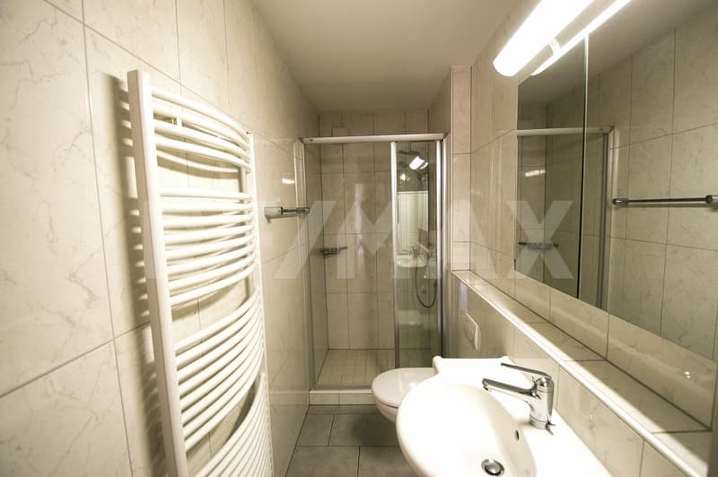 Renovated semi-detached house with garden, ready for immediate occupancy (8)