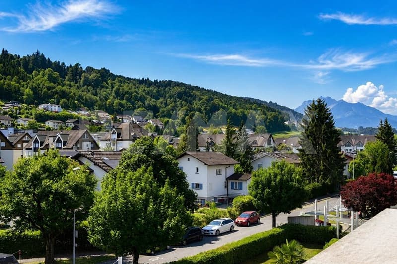 Modernes ruhiges Wohnen: Charmante 4,5 Maisonette in Ebikon (3)