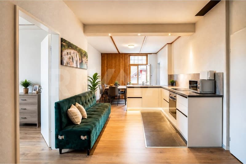 Rented Multi-Family House with Good Returns (2)