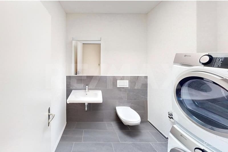 Appartement moderne 2.5 pièces en attique avec grande terrasse ensoleillée et vue panoramique (9)