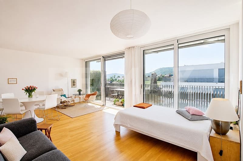 Appartement moderne 2.5 pièces en attique avec grande terrasse ensoleillée et vue panoramique (5)