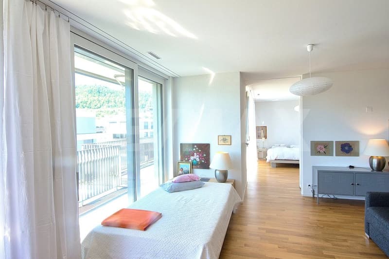 Appartement moderne 2.5 pièces en attique avec grande terrasse ensoleillée et vue panoramique (4)