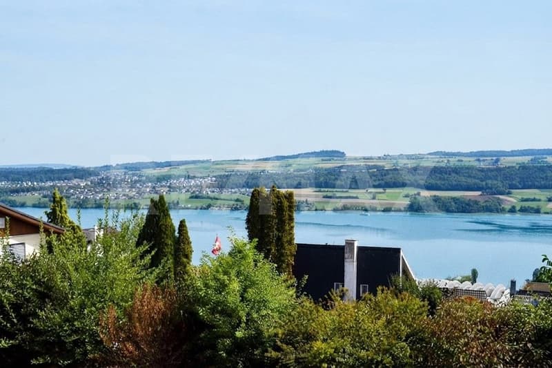 Charmantes EFH in Beinwil am See: Weitläufiges Raumangebot trifft auf atemberaubende Seesicht (3)