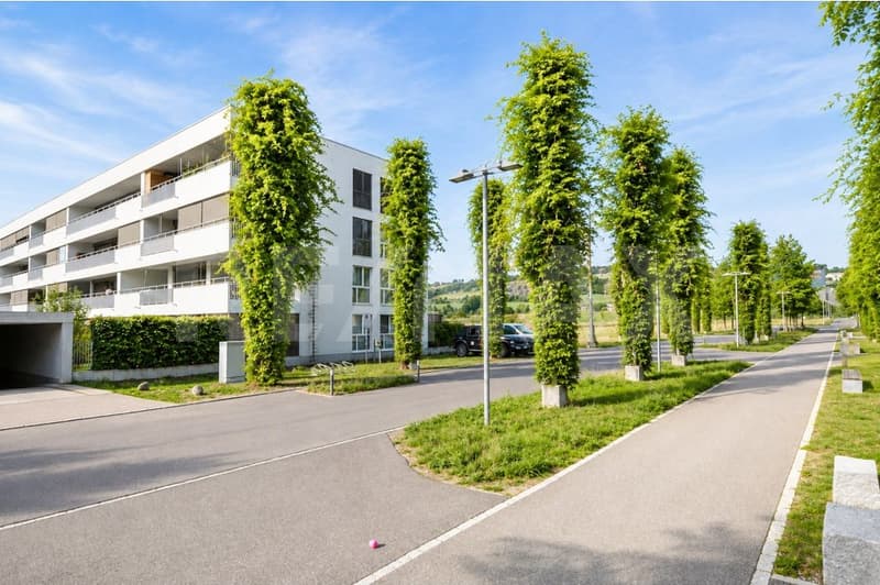 Grosszügig, modern und vermietet  5.5-Zimmer-Eigentumswohnung als Kapitalanlage (11)