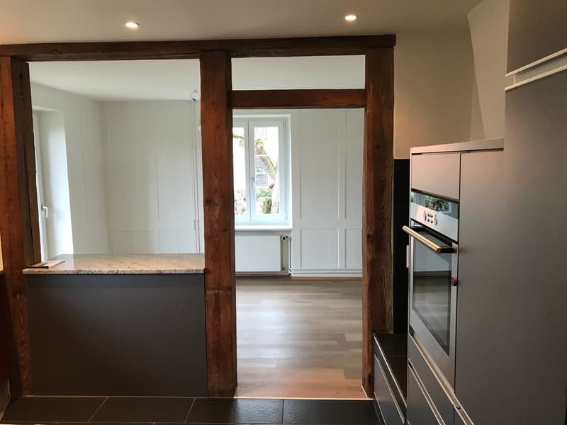 Maison pour grandes familles (4)