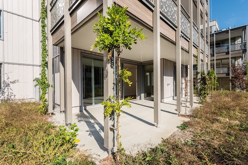 Minergie-P-Neubau im Dorfkern – 4.5-Zimmer mit Sitzplatz oder grossem Balkon (1)