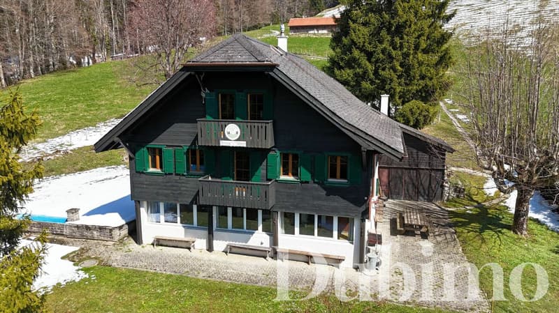 Chalet with 11 rooms on the Riviera (2)