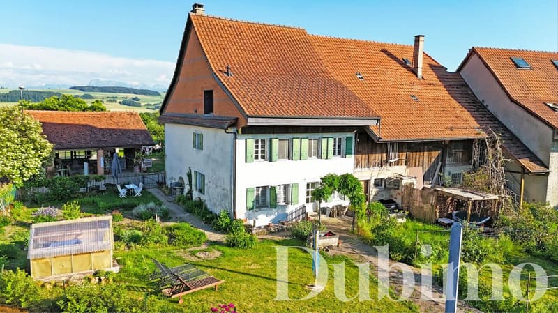 Duplex avec combles aménagés entièrement rénové à Cremin (Lucens) (11)