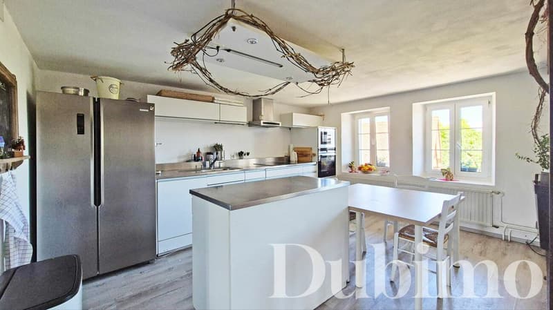 Maison familiale de 3 logements, jardin privatif, cave, carnotzet et possibilité de créer un 4e logement (4)