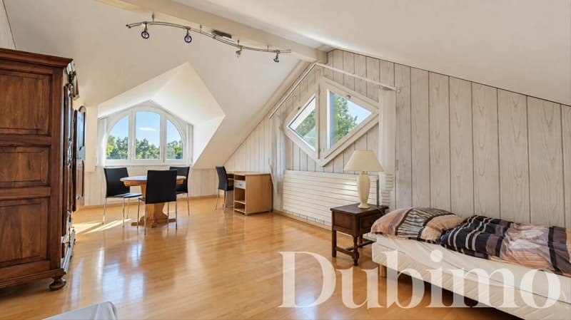 MAISON FAMILIALE DE 8.5 PIÈCES AVEC GRAND JARDIN À COTTENS (10)