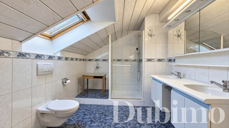 MAISON FAMILIALE DE 8.5 PIÈCES AVEC GRAND JARDIN À COTTENS (9)