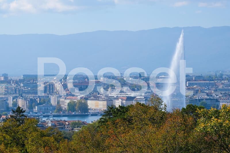 Attique de 8 pièces en pignon avec terrasse périphérique et vue dégagée sur ville et lac (1)