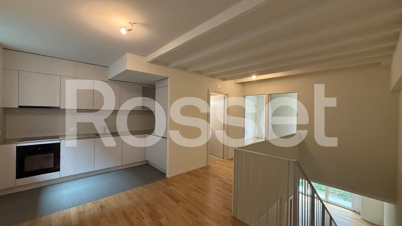 A louer, superbe appartement duplex de 4.5 pièces au 2ème sous-sol (2)