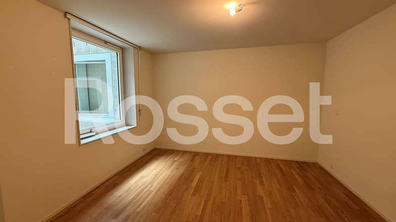 A louer, superbe appartement duplex de 4.5 pièces au 2ème sous-sol (8)